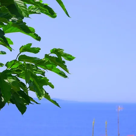 Βίλα Summer Dream Εξαμίλιο