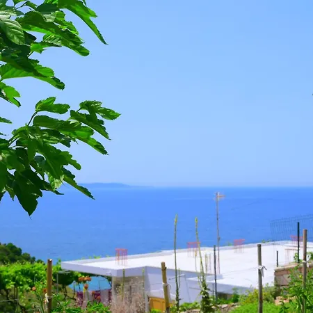 Summer Dream Εξαμίλιο