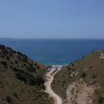 Summer Dream